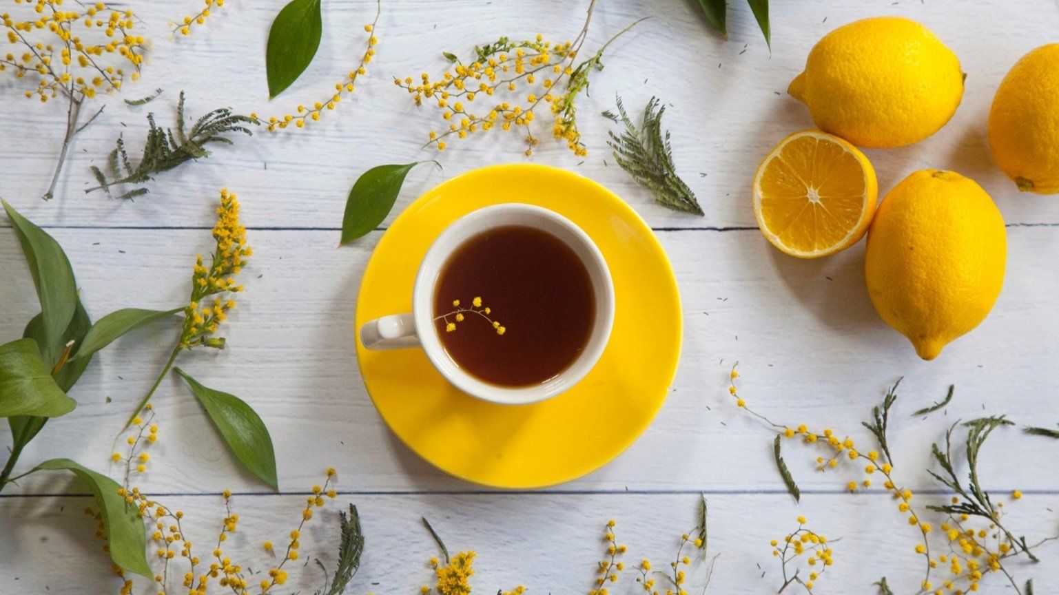 Citrus slices and tea — a visual nod to best antioxidants for radiant skin