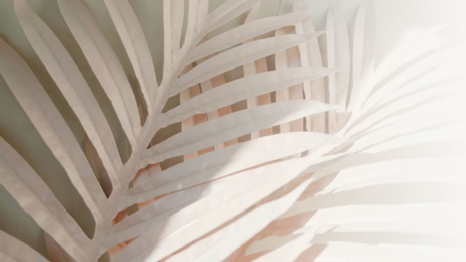 2 dry leaves against a neutral background