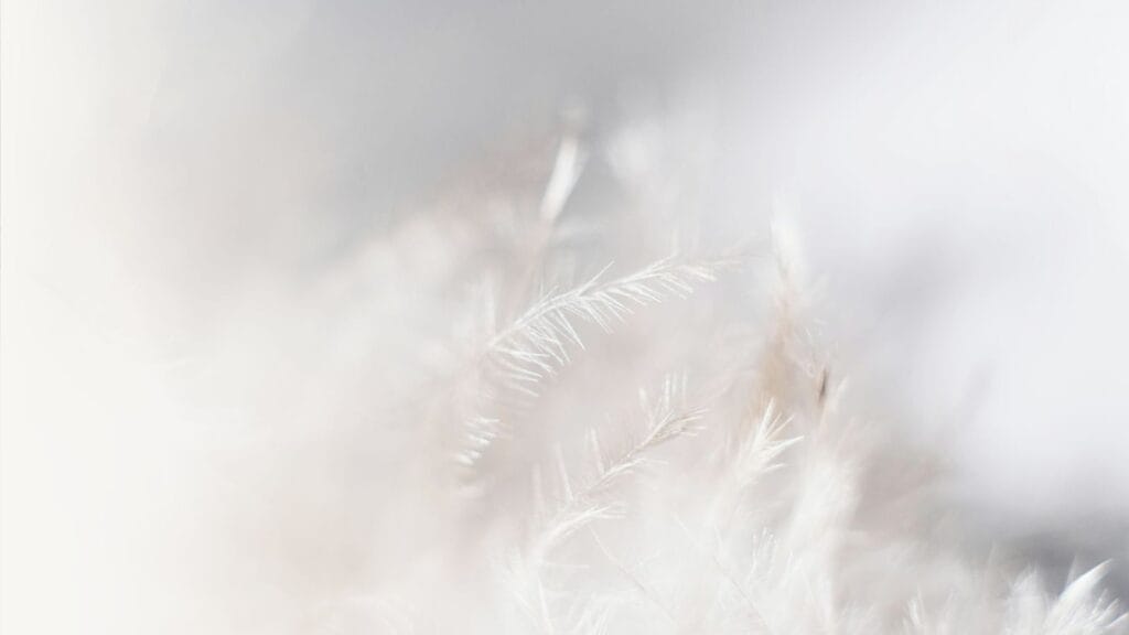 Feathers barely visible