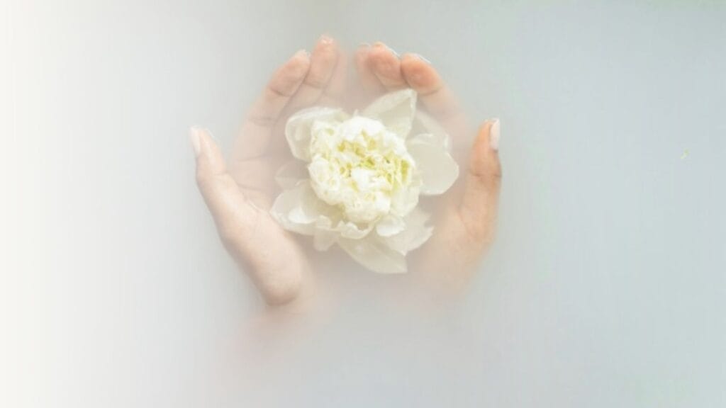 Flower in water.