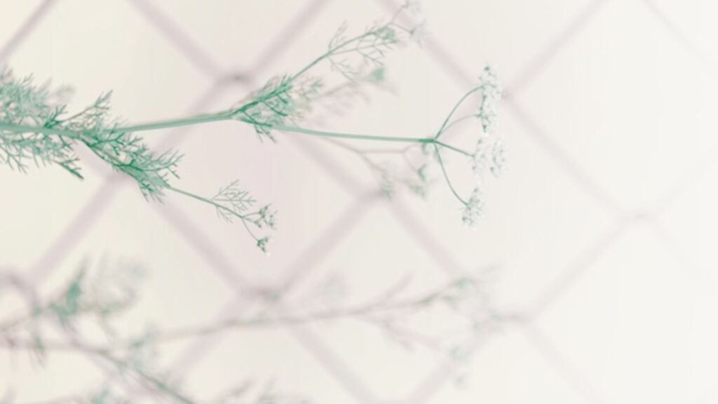 Simple flower with a fence shadow background.