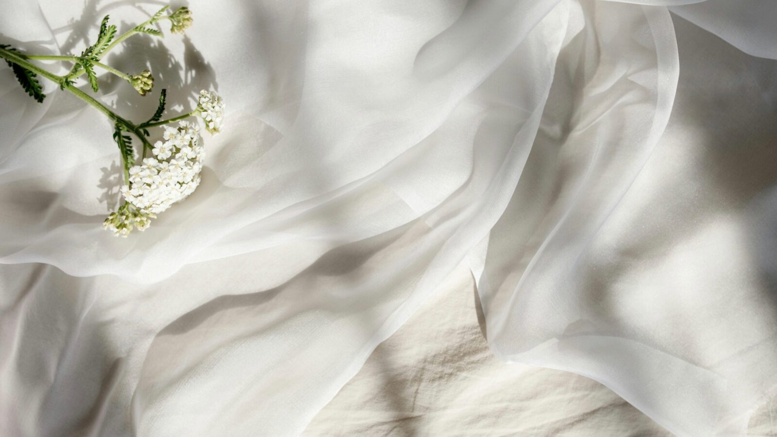Flower on soft sheet — representing habits that wake the skin's inner glow