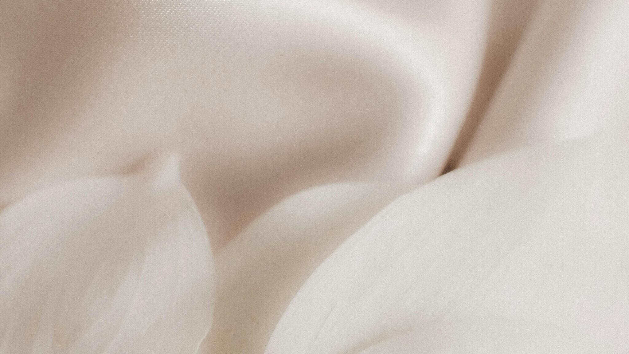 A silky cream smudge alongside white flower petals representing most luxe night creams.