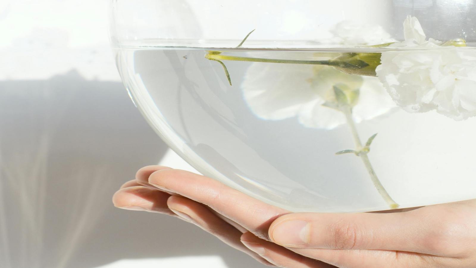 The Glow-sophy of Transepidermal Water Loss: The Quiet Reason Skin Keeps Losing Moisture