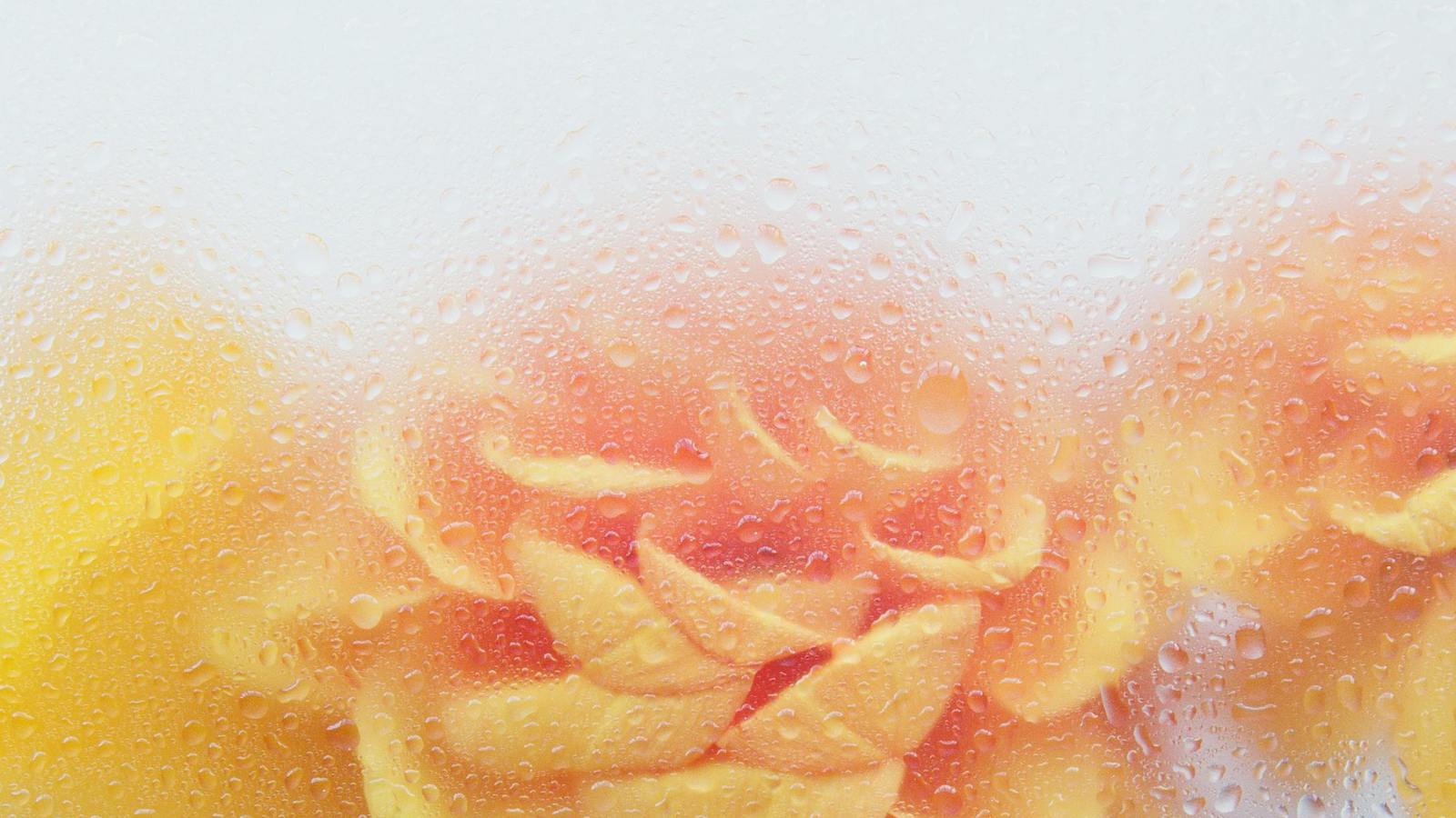 Dewy glass with yellow rose petals in background representing lightweight hydration routine and staying dewy.